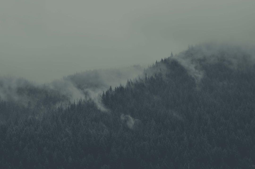 Theme Screenshot
